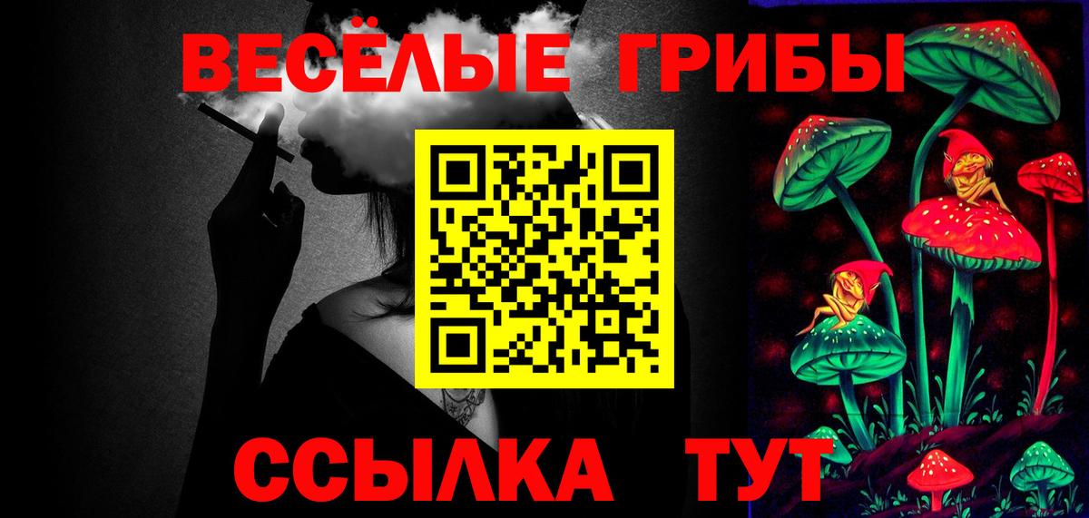 Сухой Лог  Галлюциногенные грибы Magic Shrooms  Вход с VPN 